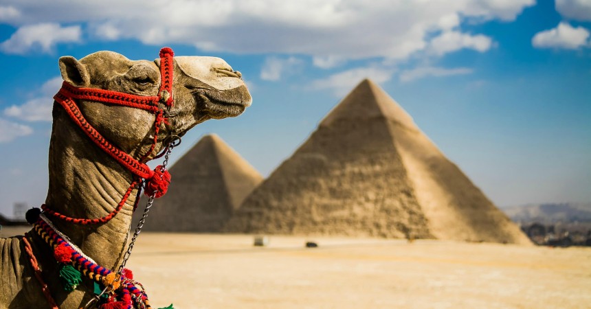 Российские туристы хотят купить туры в Египет из Минска (статистика портала Traveling.by) Российские туристы хотят купить туры в Египет из Минска (статистика портала Traveling.by)